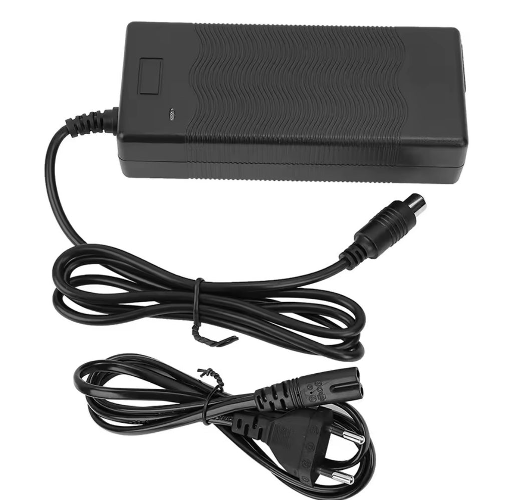 Carica batteria scooter elettrico Xiaomi