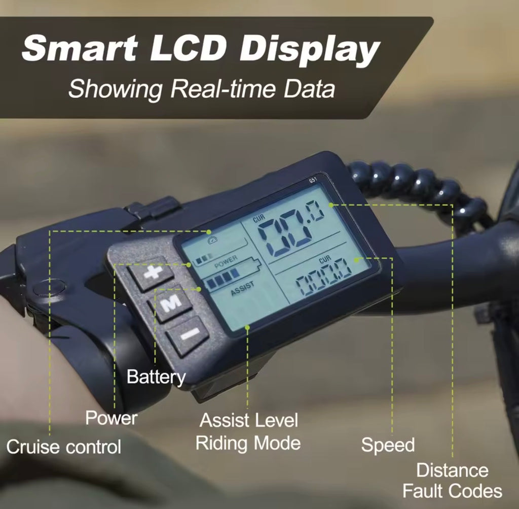 Bicicletta elettrica E-bike Dimensioni ruota da 14 pollici con batteria 36 V 6,4 Ah, display LCD digitale, motore E-Bike da 250 W e 25 km/h,