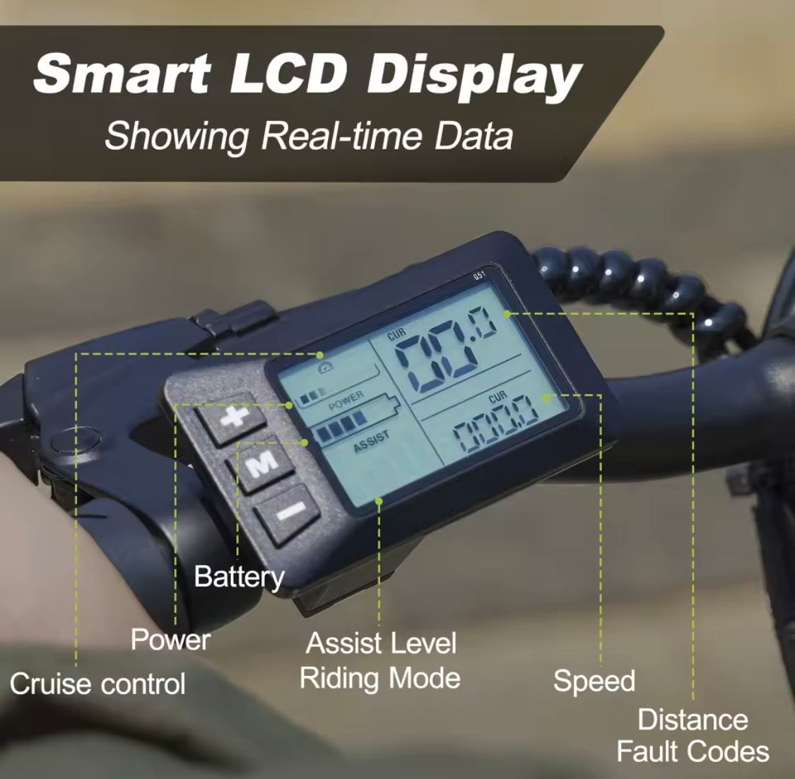 Bicicletta elettrica E-bike Dimensioni ruota da 14 pollici con batteria 36 V 6,4 Ah, display LCD digitale, motore E-Bike da 250 W e 25 km/h,
