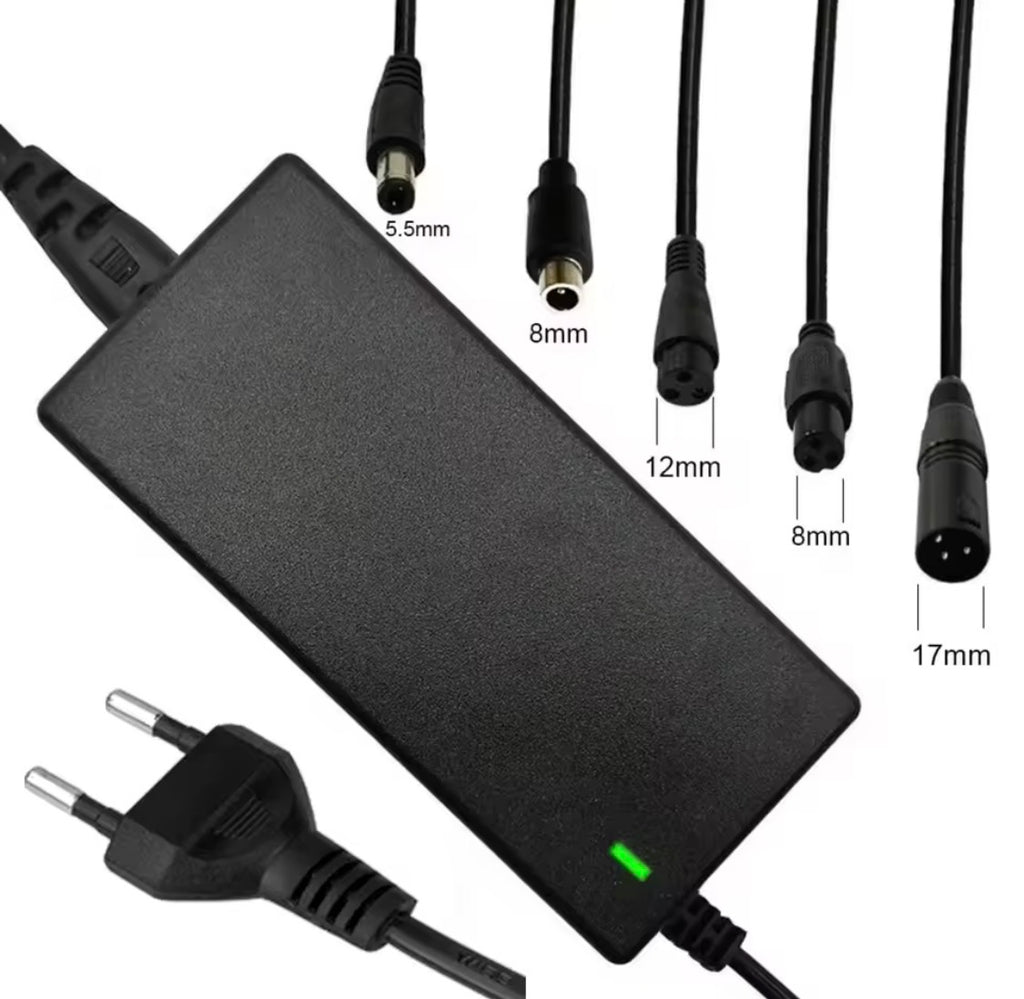 42V 2A Scooter Elettrico Balance Caricatore Adattatore di Alimentazione Caricatore Universale 4/5 Spine Per 36 25.2V 25.9V 25.6V 24V Batteria Al Litio