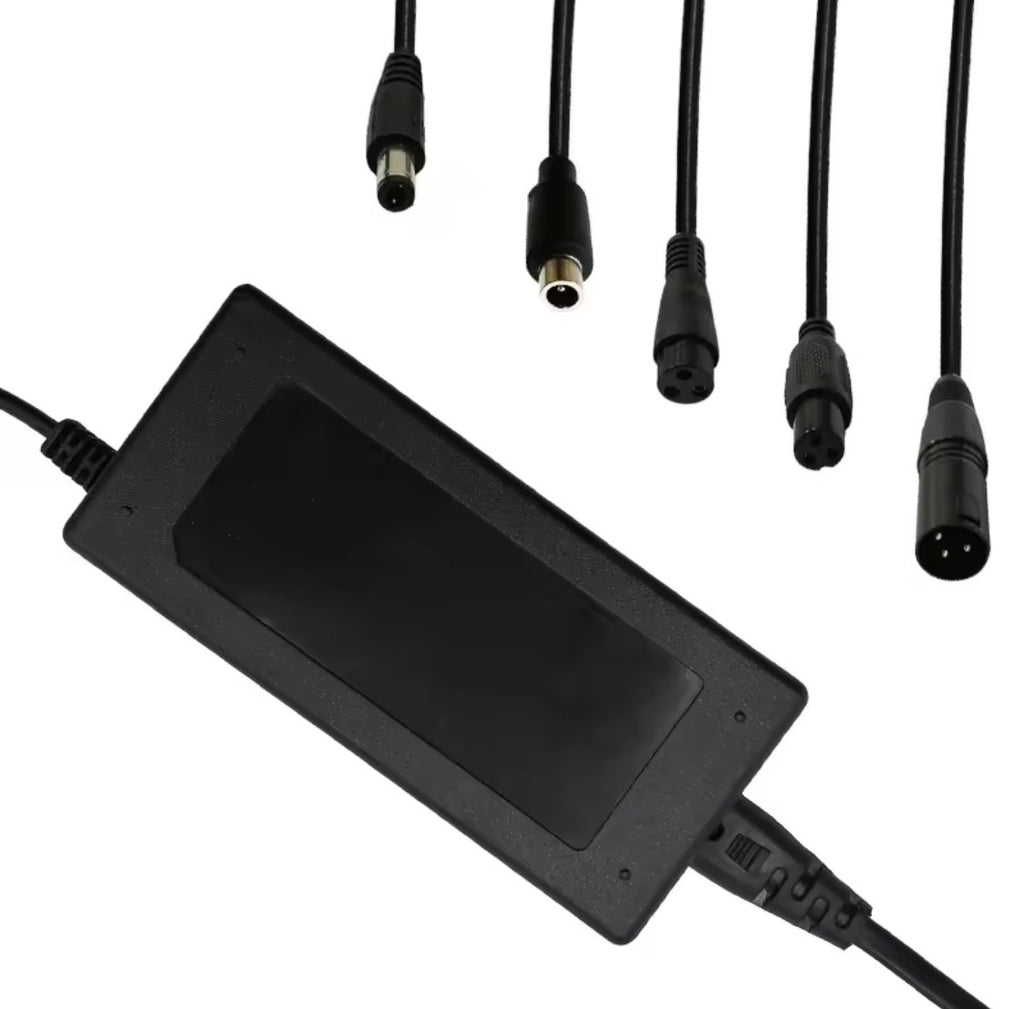 42V 2A Scooter Elettrico Balance Caricatore Adattatore di Alimentazione Caricatore Universale 4/5 Spine Per 36 25.2V 25.9V 25.6V 24V Batteria Al Litio