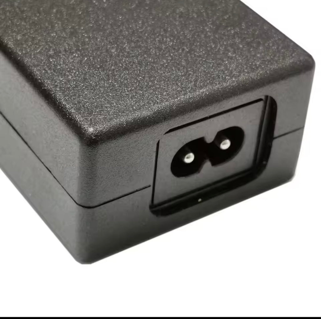 42V 2A Scooter Elettrico Balance Caricatore Adattatore di Alimentazione Caricatore Universale 4/5 Spine Per 36 25.2V 25.9V 25.6V 24V Batteria Al Litio